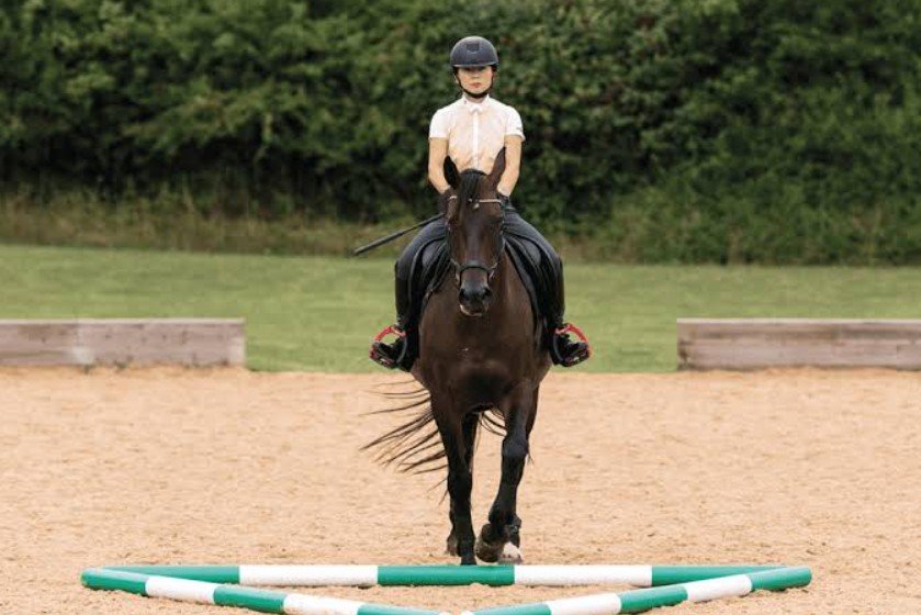 How Pole Work Can Sharpen Rhythm, Balance, And Confidence In Everyday Horse Training In 2026